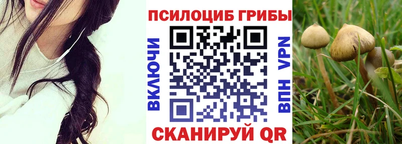 дарнет шоп  Староминская  Галлюциногенные грибы Cubensis 
